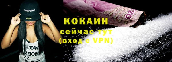 мдпв Пестово
