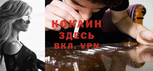 СК Пересвет