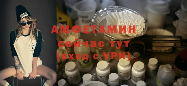 мдпв Пестово