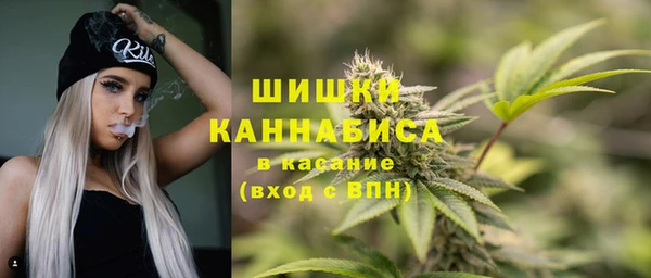 СК Пересвет