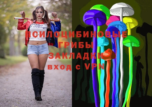 СК Пересвет