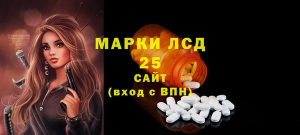 мдпв Пестово