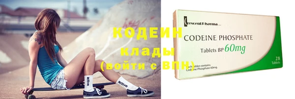 СК Пересвет