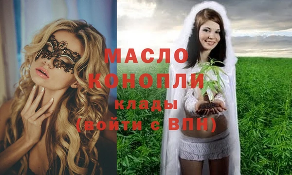 мдпв Пестово