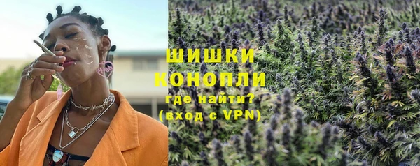 мдпв Пестово