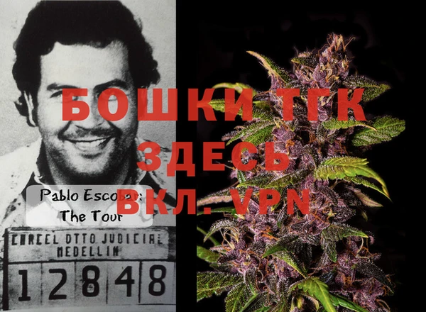 мдпв Пестово
