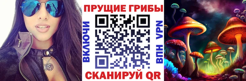 дарнет шоп  Сычёвка  Псилоцибиновые грибы Psilocybine cubensis 