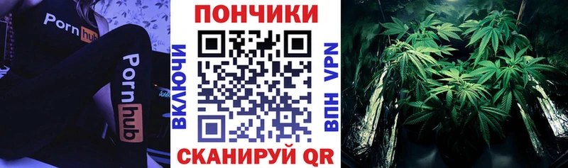 Конопля планчик  Сычёвка 